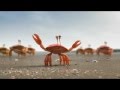 Mejor viajar en grupo (Crabs)