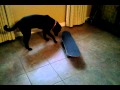 Chryssie+skatedoard=cute.