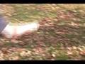 videos de Candy scramble