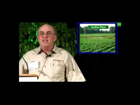 how to measure chlorophyll a and b