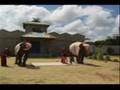 Bintan Elephant Park Show
