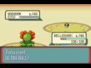 Pokemon Ruby Catching Groudon Pokemon Ruby Catching Groudon