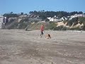 Boxer taking out the competition