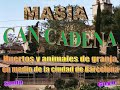masia can cadena una granja en la ciudad de barcelona