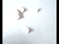 ??