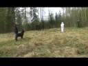 Labbas Skott