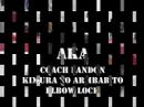 Kimura-Flows Kimura-Flows