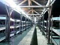 The Barracks in Birkenau
