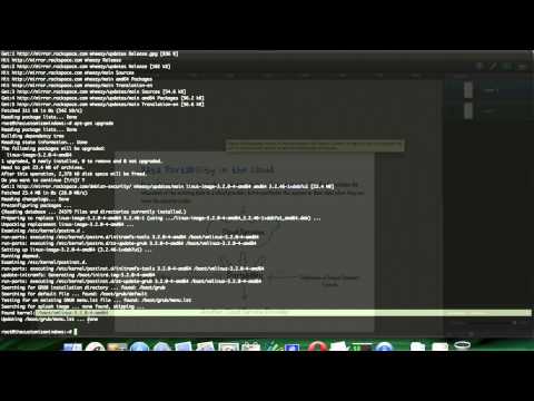 how to apply nginx patch