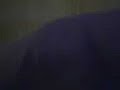 gto 2