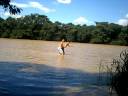 Salvando Toto...