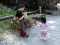 kea & xhorxhi me drenushen