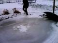 johan andersson back on ice 08