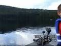 videos de A Fish Story