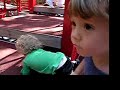 Sterling and the NYC Playground