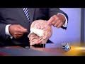 CINN in the News