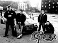 Ginex - Max