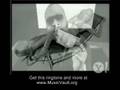 Rock Ross - This is the Life