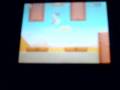 New Super Mario Bros DS #2
