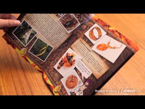 how to discover bugs