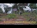 Madidi- Jungle trip