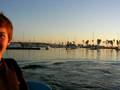 videos de seal jumping around our boat