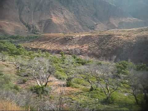 Willet Hot Springs - Sespe Wilderness (Backpacking Los Padres National Forest)