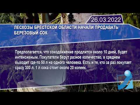 Новостная лента Телеканала Интекс 26.03.22.