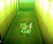 videos de Metal Gear Solid 2 - Technique boîte en carton