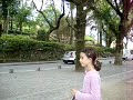 passeio da junta de loureda