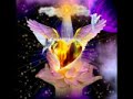i believe in spiritual love , love this song