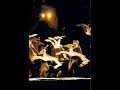 videos de Simba / A. De La Roche - Circle of Life (reprise)