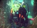 grabaciones submarinas grabaciones submarinas