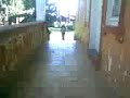 fantasma.