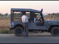 The Dogs of Jaipur