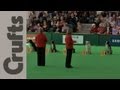 World Cup Obedience Part 10 (Stays) - Crufts 2012
