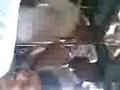 videos de i.v video
