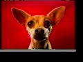 First Chalupa Commercial with a talking Chihuahua