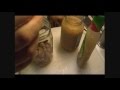 Noreen's Kitchen: How To Make Marinated Artichoke Hearts and Mushrooms