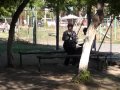 Click here to watch this video Новости Телеканала Первый Карагандинский - 24/05/2012