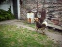 My Baby - Roko Esporta My Baby - Roko Esporta