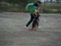 bszs oran 2