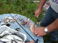 Fishing in Millertown Newfoundland