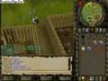 Crazy Ape Atoll Glitch