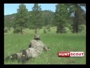 Antelope Hunt Antelope Hunt