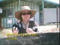 Extreme Ostrich Feeding