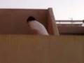 videos de buscando pareja.3gp
