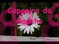 capoeira do gaucho qnps