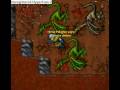 Tibia Dead Dragon z 4k lootem