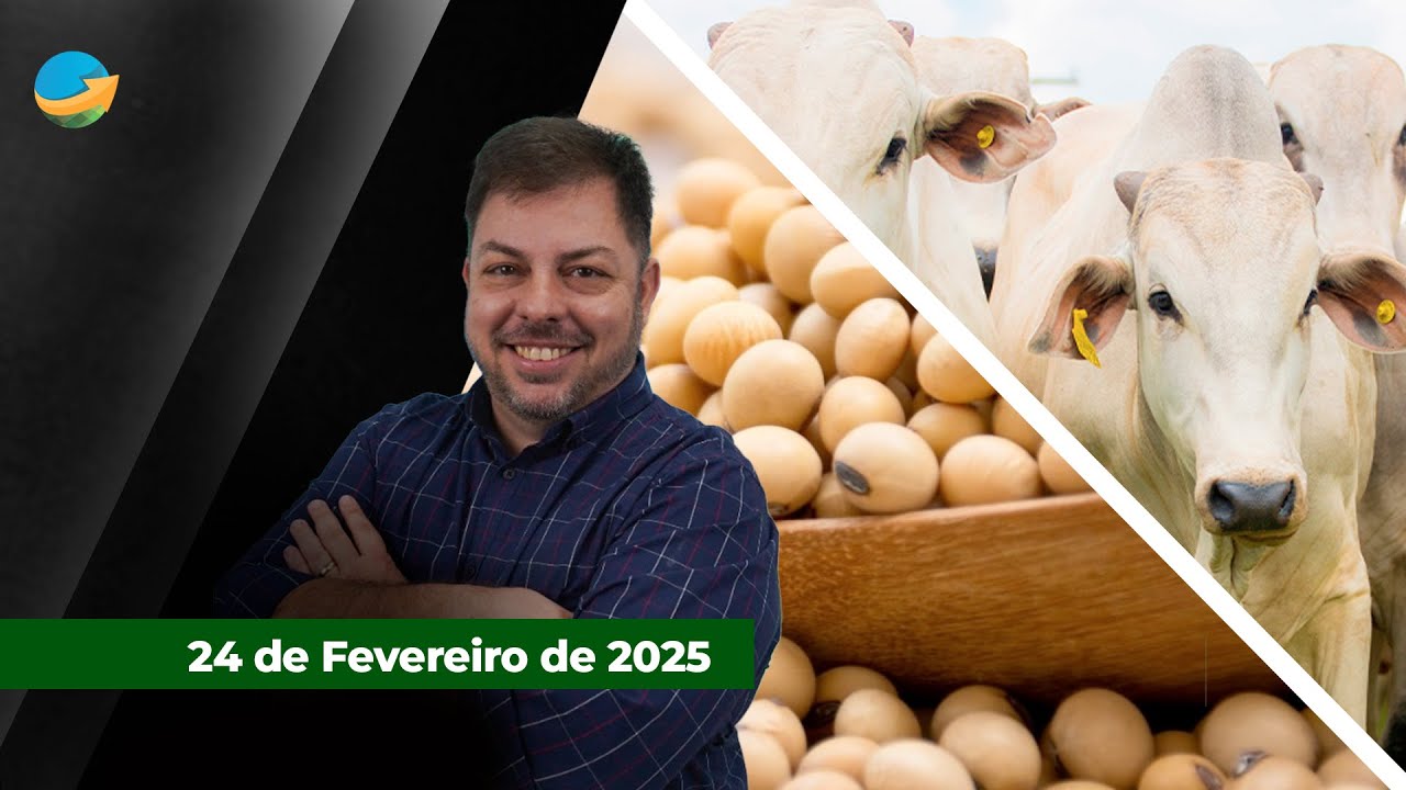 Realização de lucros, colheita no Brasil e safra nos EUA pressionaram soja;  milho sente disput...